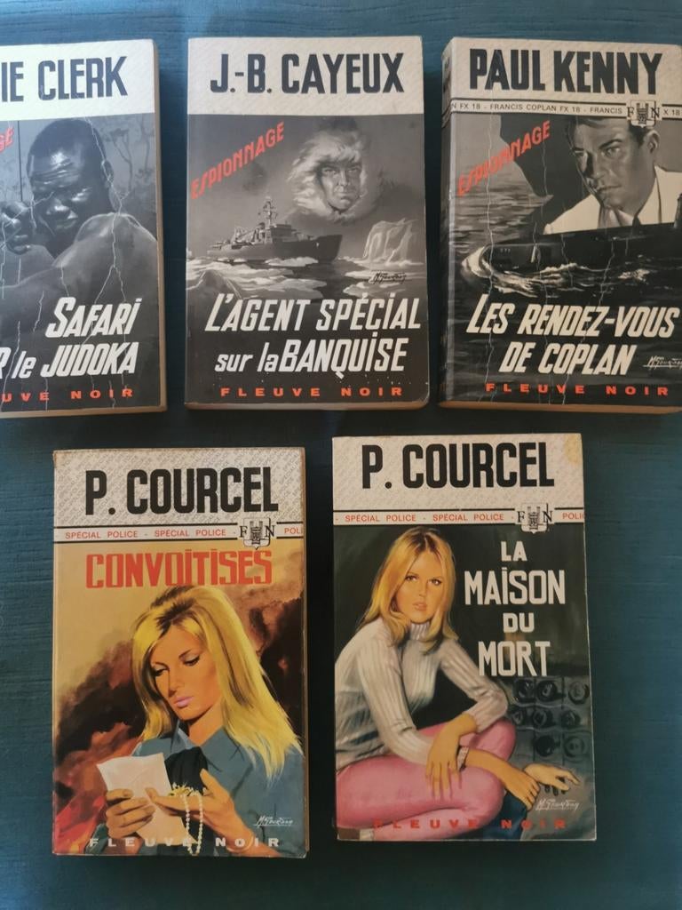 5 livres Fleuve Noir, Ophalen of Verzenden, Gelezen