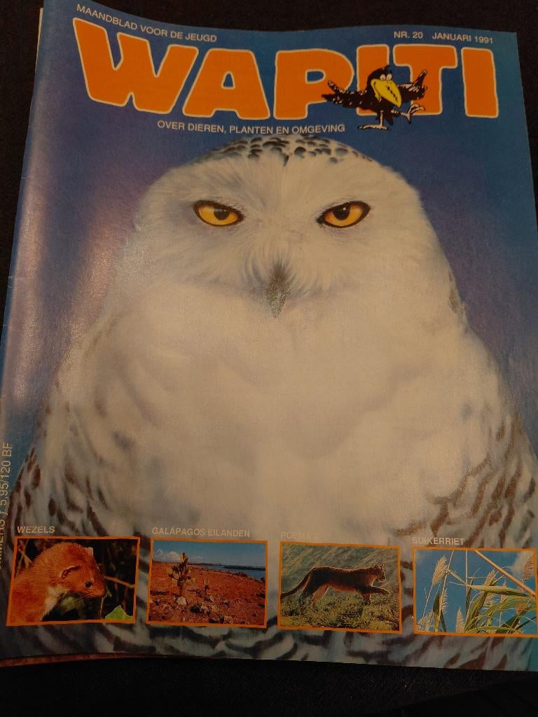 Wapiti tijdschrift jaargang 1991, Enlèvement ou Envoi, 1980 à nos jours, Journal ou Magazine