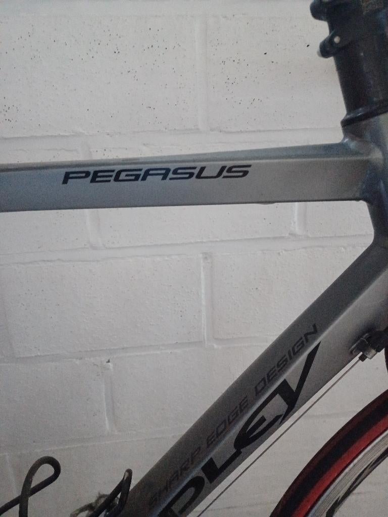 Koersfiets ridley pegasus, Fietsen en Brommers, Ophalen, Gebruikt, Heren, Overige merken