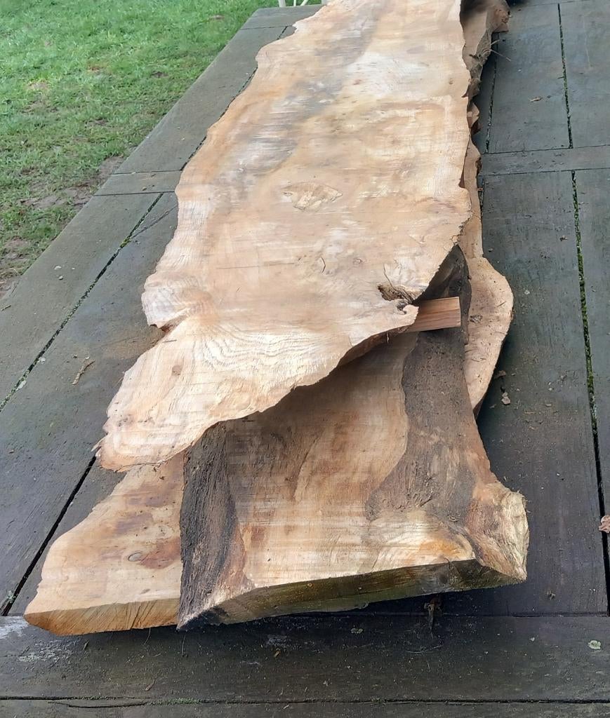 Eiken boomstambladen, Doe-het-zelf en Bouw, Hout en Planken, Ophalen of Verzenden, Nieuw, Eiken, Plank