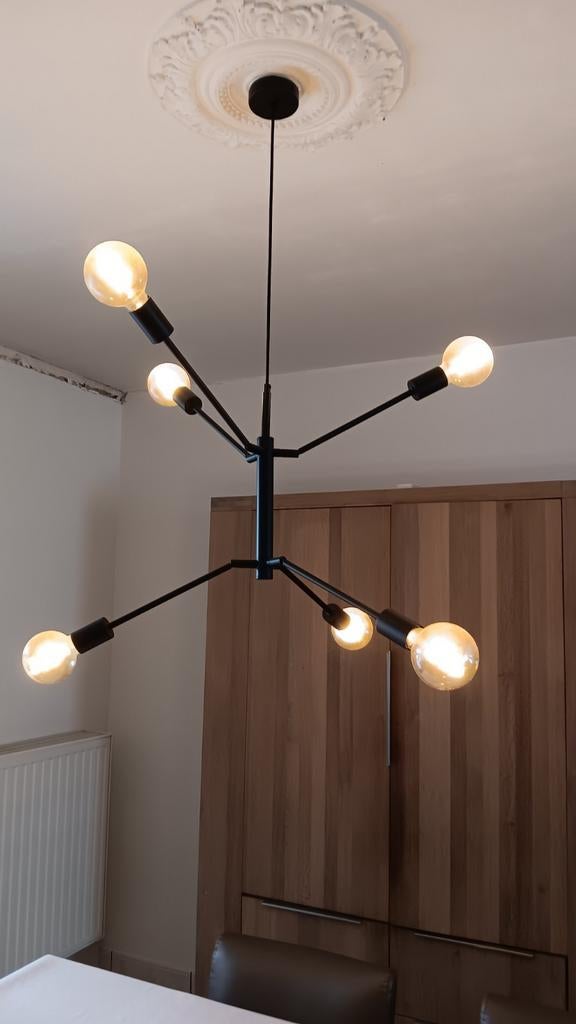 Lampe suspendue avec 6 lumières que vous pouvez. Ils se conc, Enlèvement ou Envoi, Comme neuf