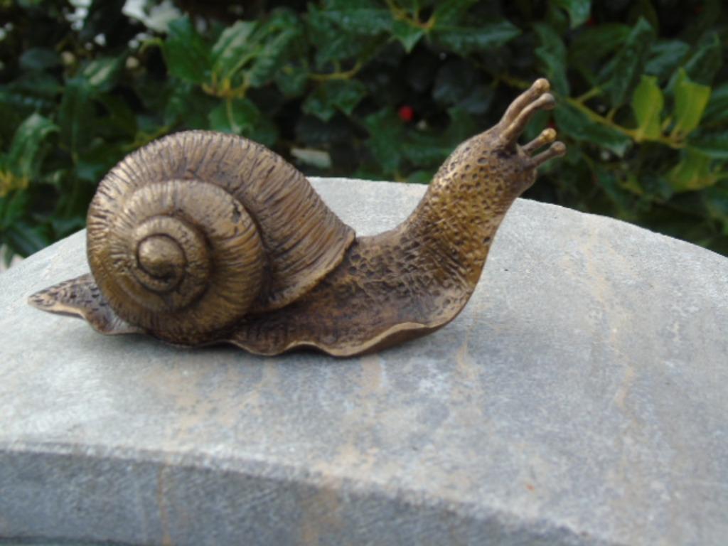 Beeld van een slak met hoge kop in natuurlijk geslepen brons, Ophalen, Nieuw