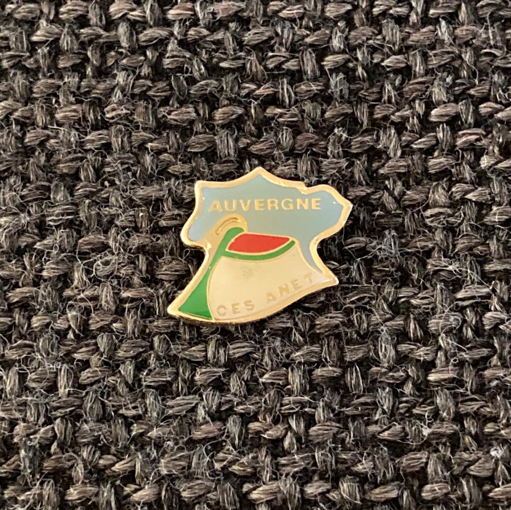 PIN - AUVERGNE - FRANCE - FRANKRIJK, Envoi, Utilisé, Ville ou Campagne, Insigne ou Pin's