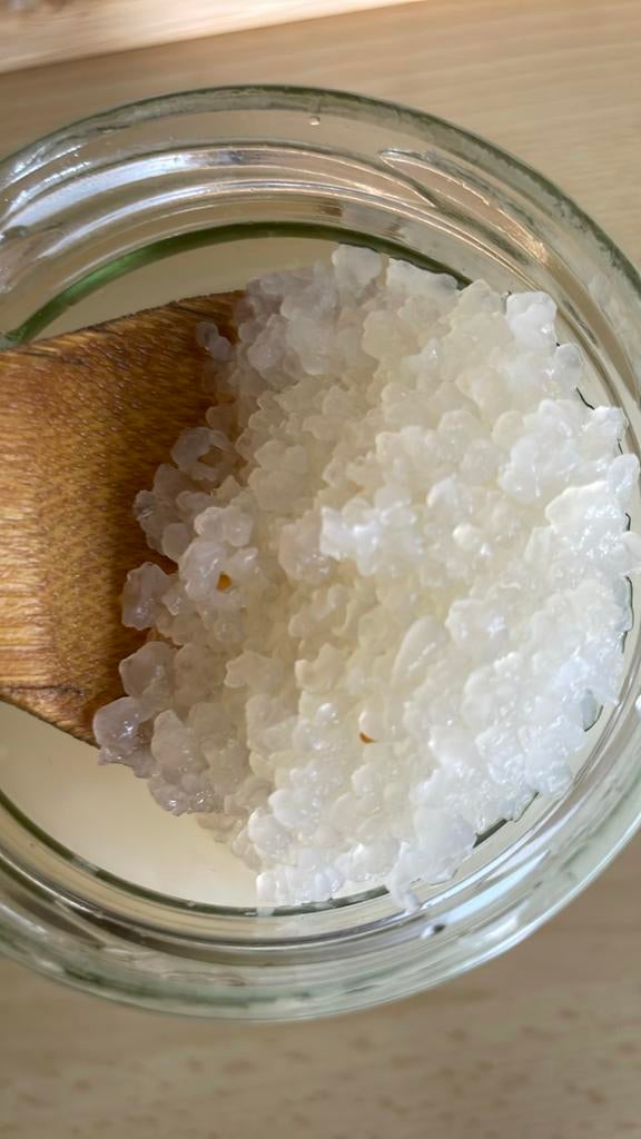 Grains de Kefir d’eau - A donner à partir d’avril, Divers, Produits alimentaires, Enlèvement