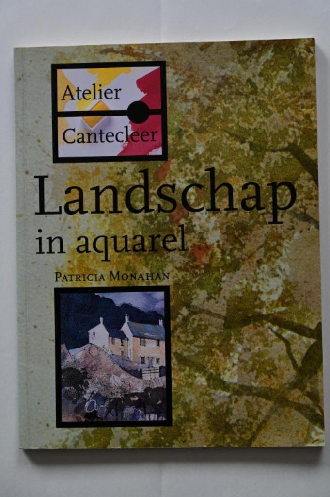Landschap in aquarel, Livres, Loisirs & Temps libre, Patricia Monahan, Enlèvement ou Envoi, Utilisé, Dessin et Peinture