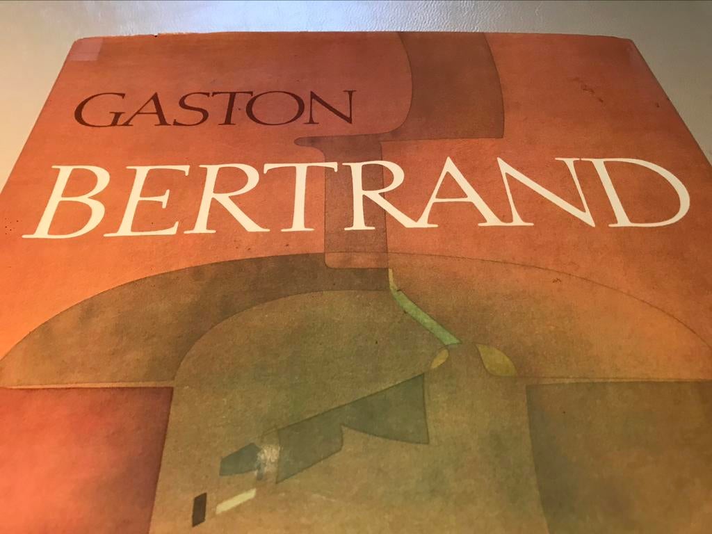 Présentation de Gaston Bertrand 160 pages, Enlèvement ou Envoi, Comme neuf, Peinture et dessin