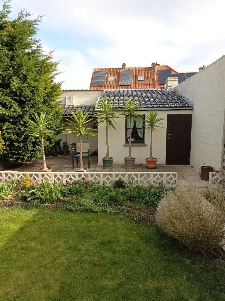 planten, Huis en Inrichting, Kamerplanten, Ophalen, 100 tot 150 cm, In pot, Yucca