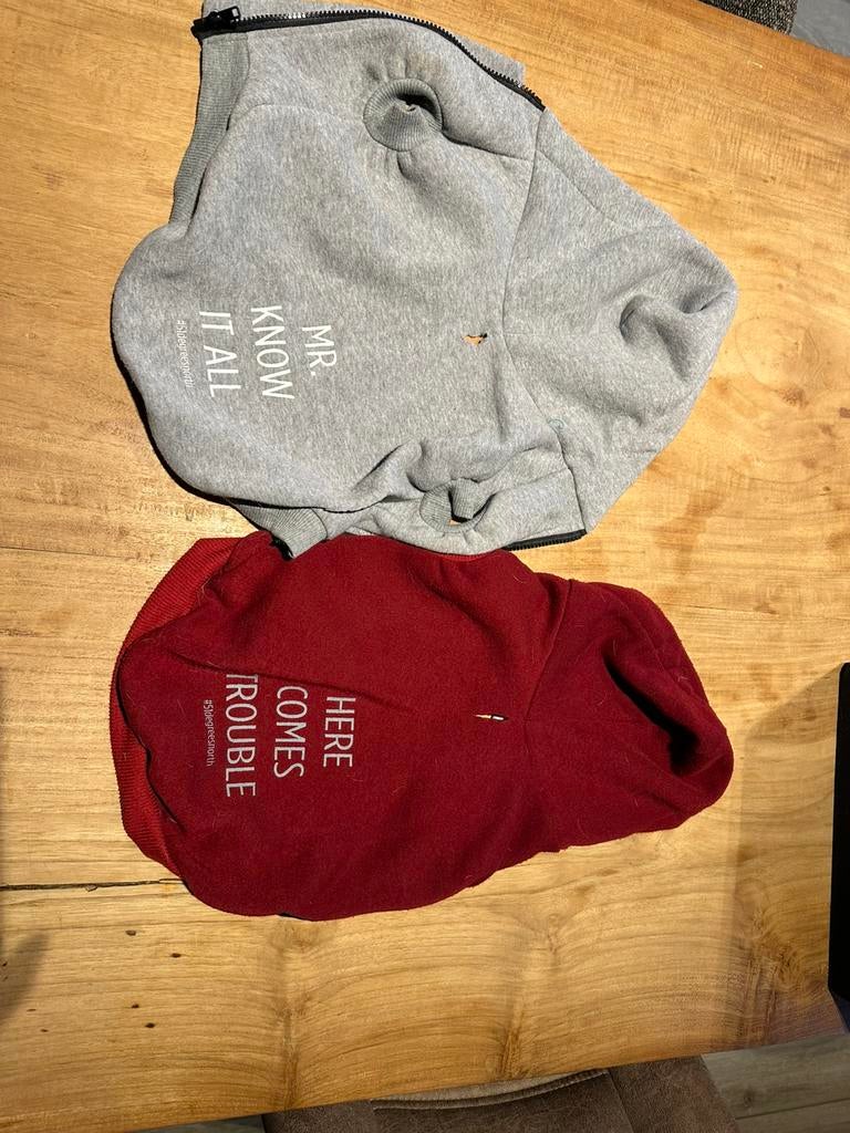 Honden Sweater met tekst 51DN, Enlèvement, Comme neuf