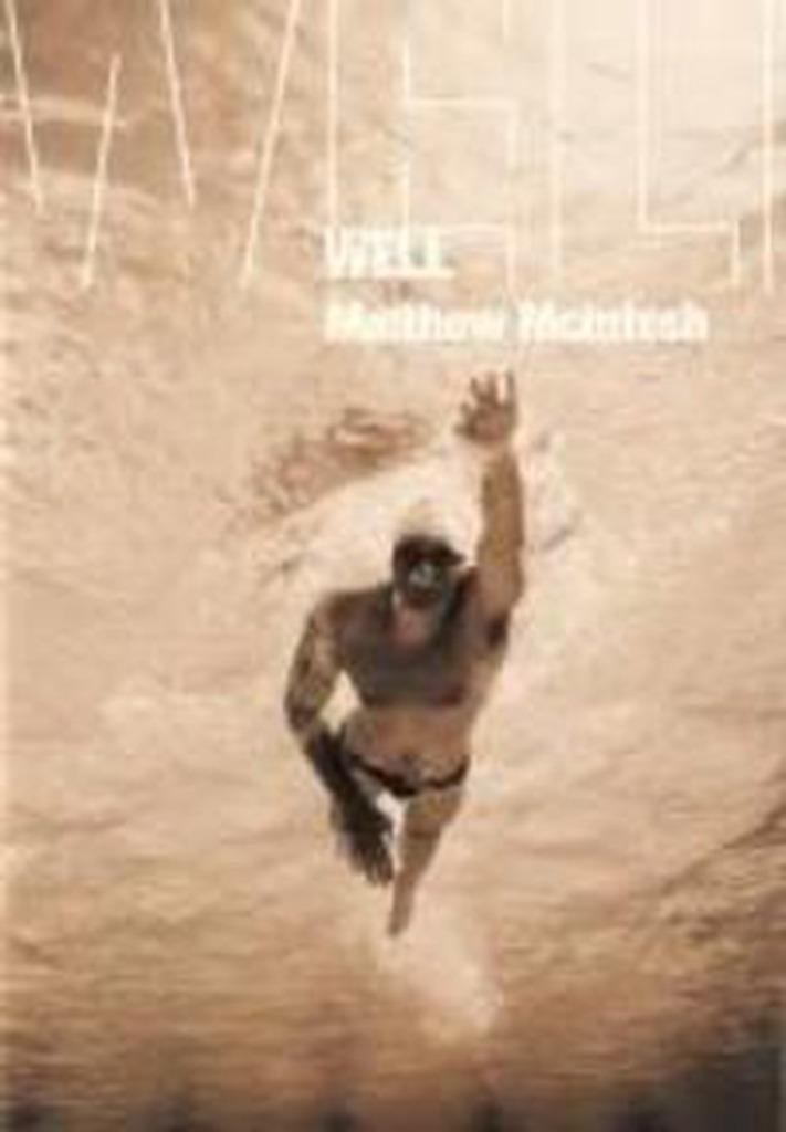 Well / Matthew McIntosh / Nederlandse uitgave, Enlèvement ou Envoi, Comme neuf