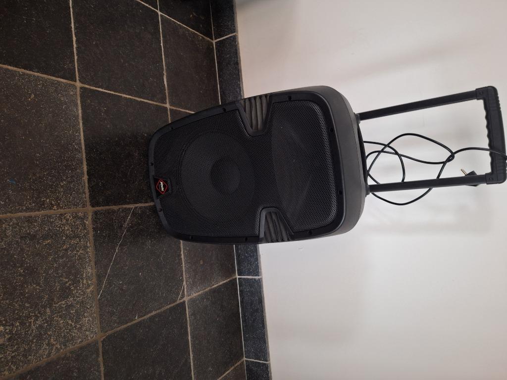 ENCEINTE, Audio, Tv en Foto, Luidsprekerboxen, Ophalen, Zo goed als nieuw, Overige typen, Overige merken