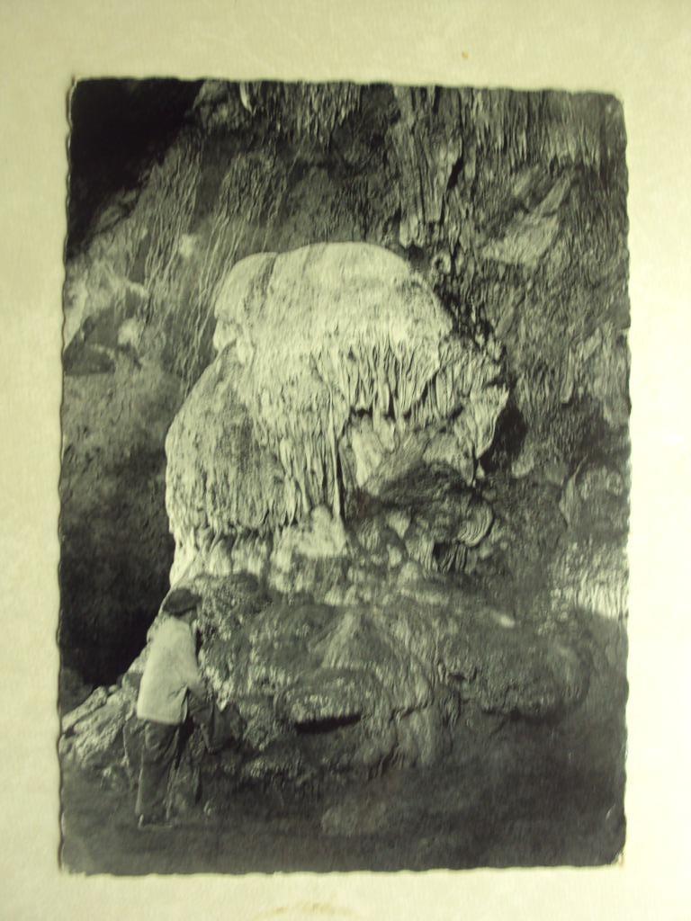 53903 - GROTTES DE HAN S/LESSE - LE TROPHEE, Enlèvement ou Envoi
