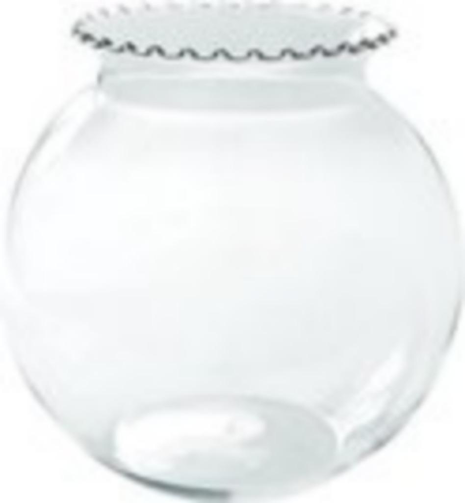 Aquarium bocal 19 cm, Enlèvement, Neuf, Aquarium vide