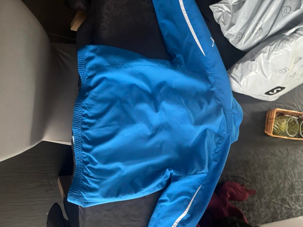 Vestje club brugge €10, Dieren en Toebehoren, Ophalen, Zo goed als nieuw