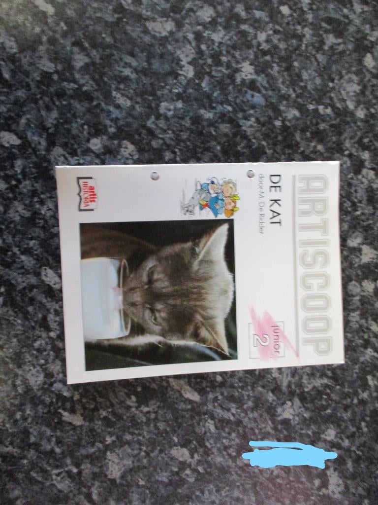 artiscoop junior de kat, Enlèvement ou Envoi, Comme neuf