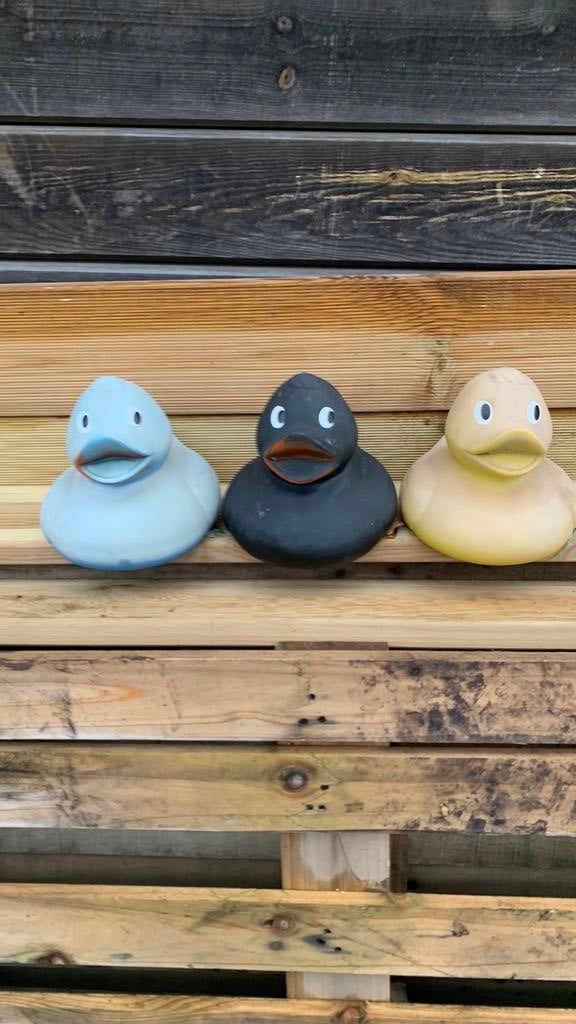 Vijvereenden, Tuin en Terras, Ophalen, Gebruikt