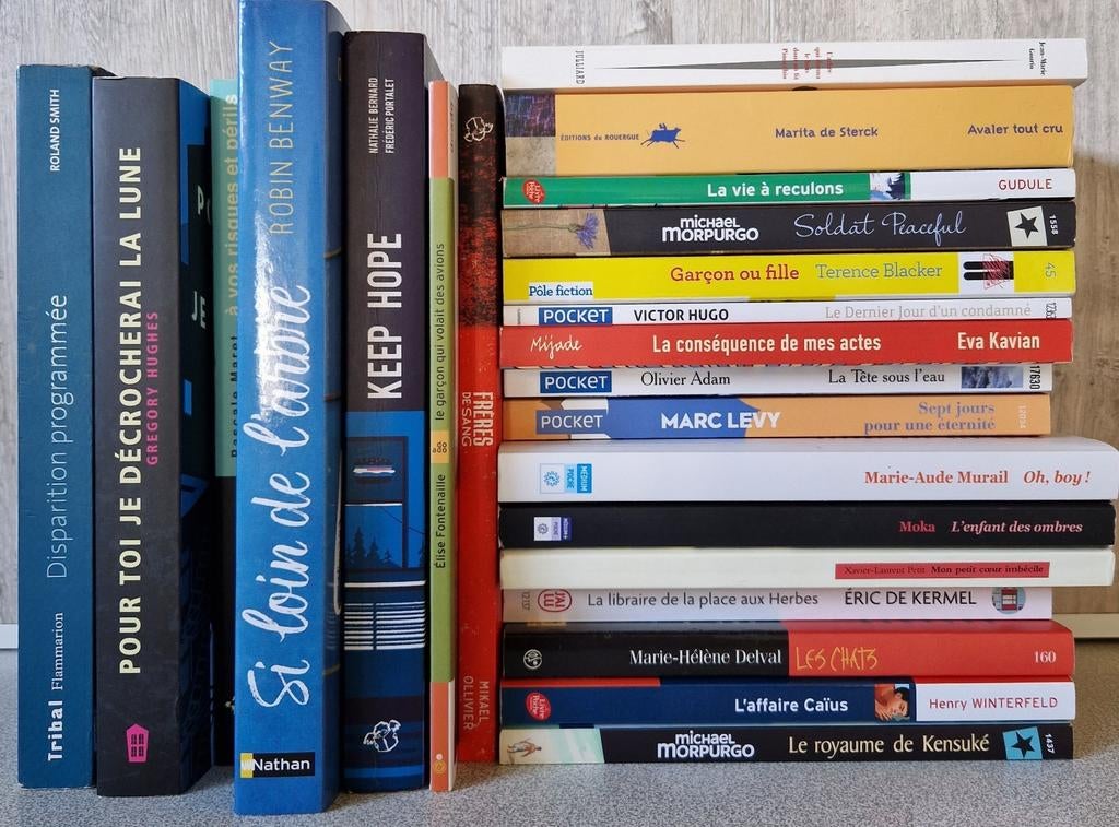 Livres de lecture scolaire à partir de 1€, Enlèvement, Comme neuf