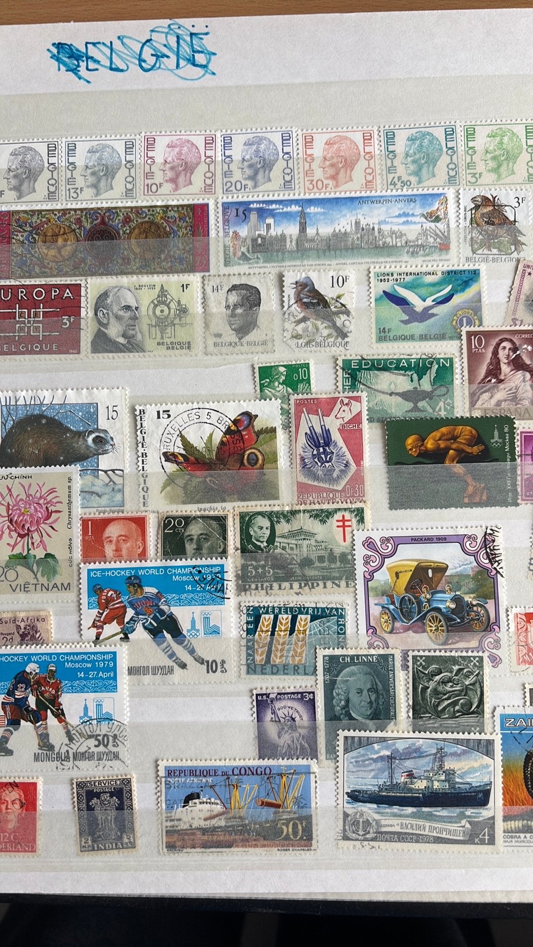 Album de timbres avec timbres belges, Enlèvement ou Envoi