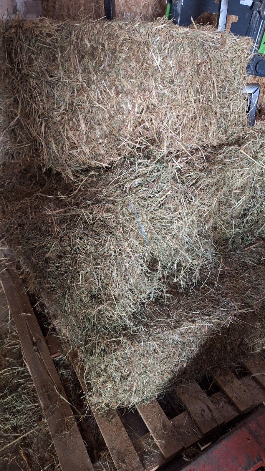 Kleine balen hooi 50-tal, Animaux & Accessoires, Nourriture pour Animaux, Enlèvement