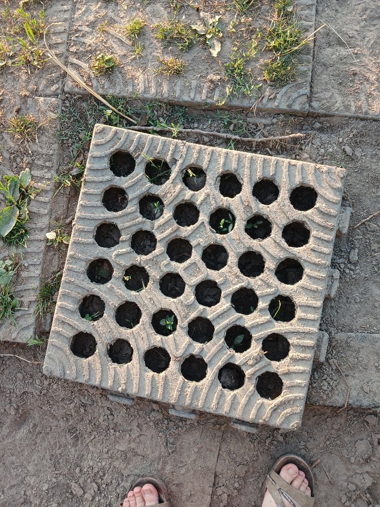 60 m2 paddockplaten, Dieren en Toebehoren