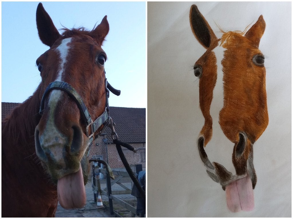 Dierenportret, Dieren en Toebehoren, Ophalen