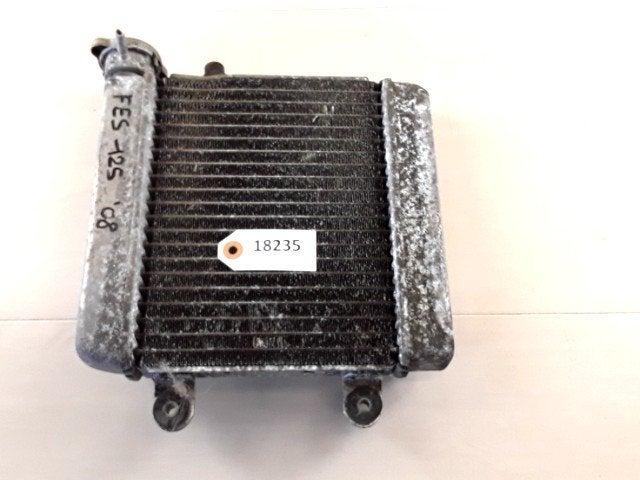 FES125 Silverwing 2007 - 2017 Honda Radiator D1-34767, Motoren