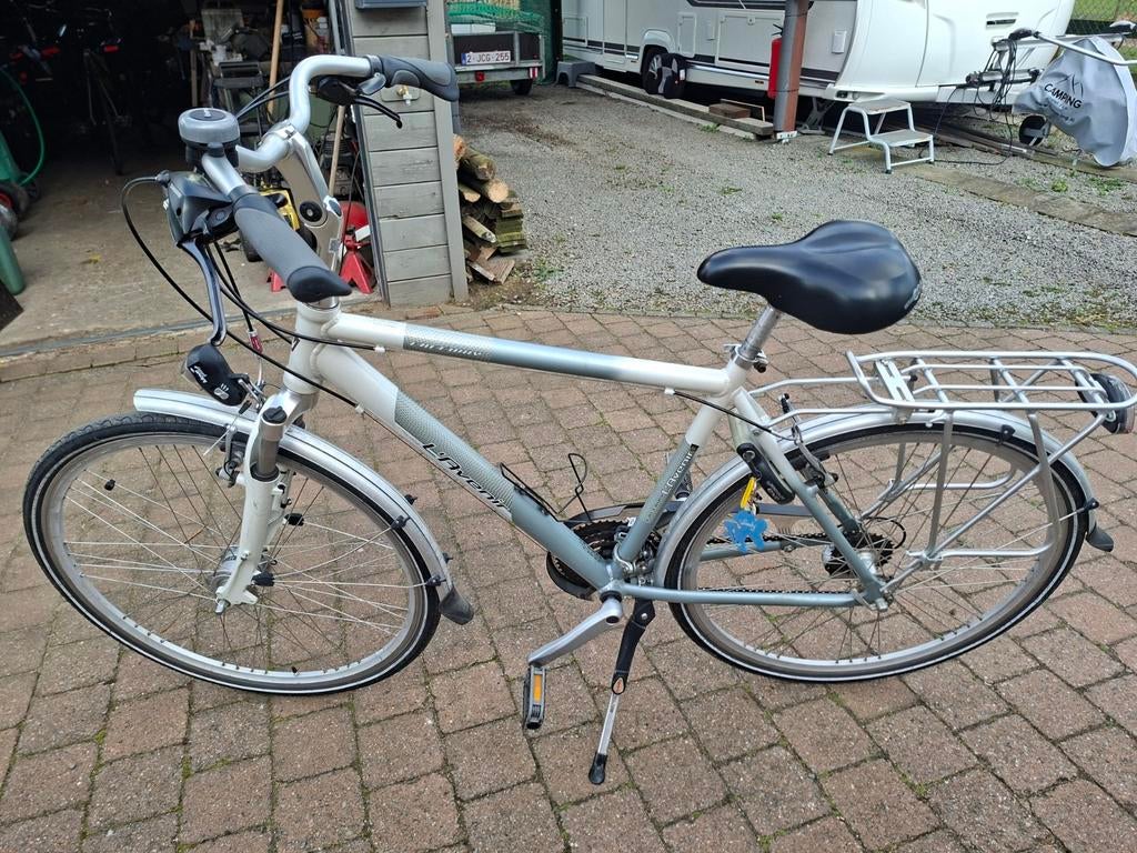 Zo goed als nieuwe herenfiets L'avenir, Ophalen, Versnellingen