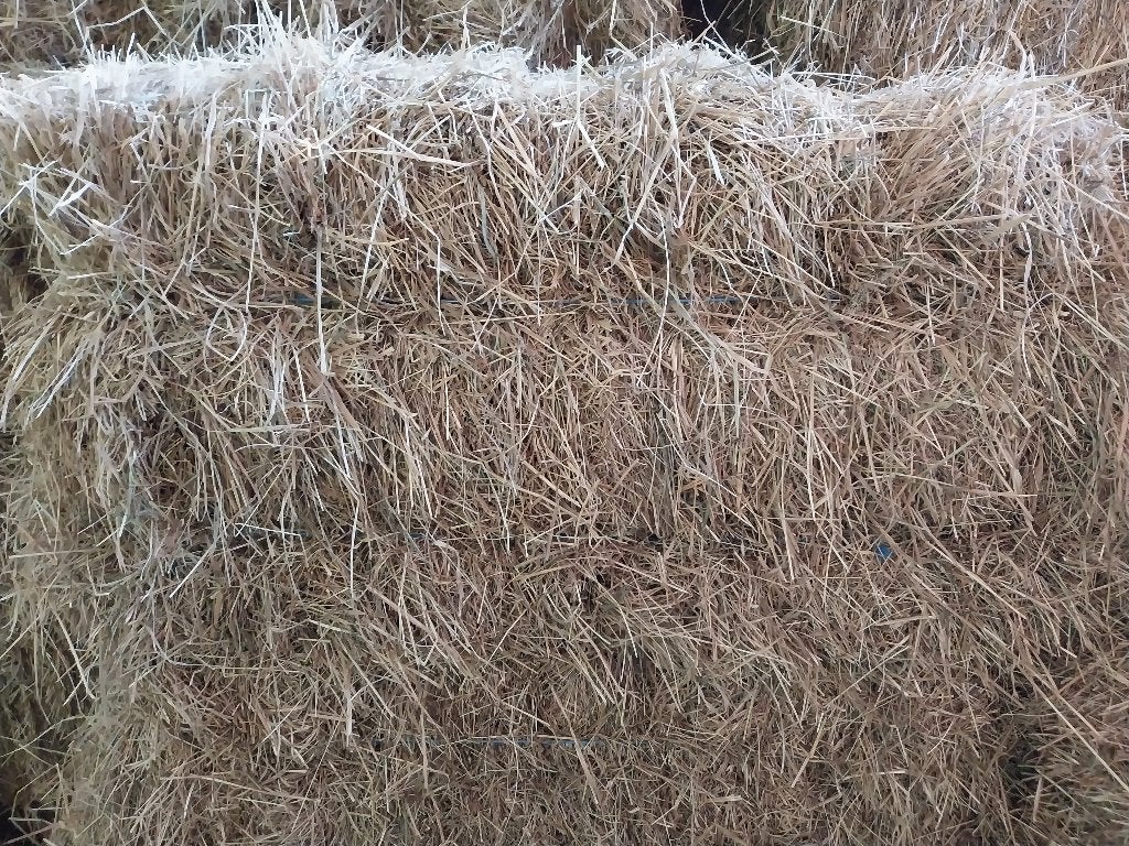 Hooi, Dieren en Toebehoren, Dierenvoeding, Ophalen