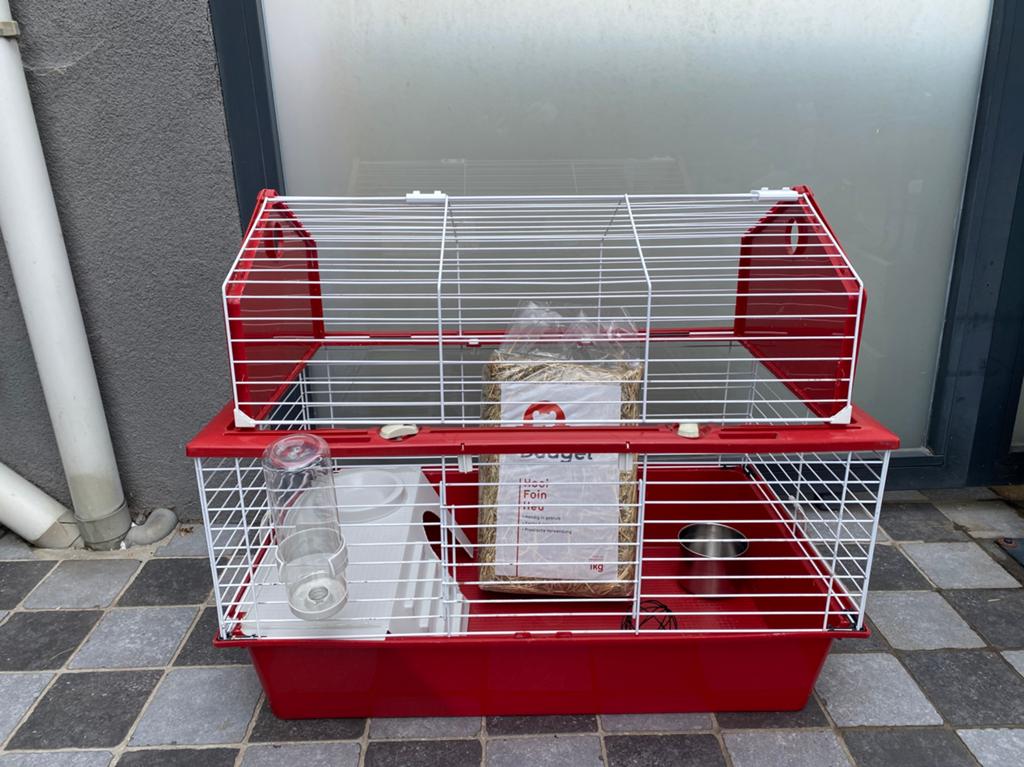 Leuke cavia / konijnenkooi / hok met toebehoren, Animaux & Accessoires, Rongeurs & Lapins | Cages & Clapiers, Enlèvement, Comme neuf