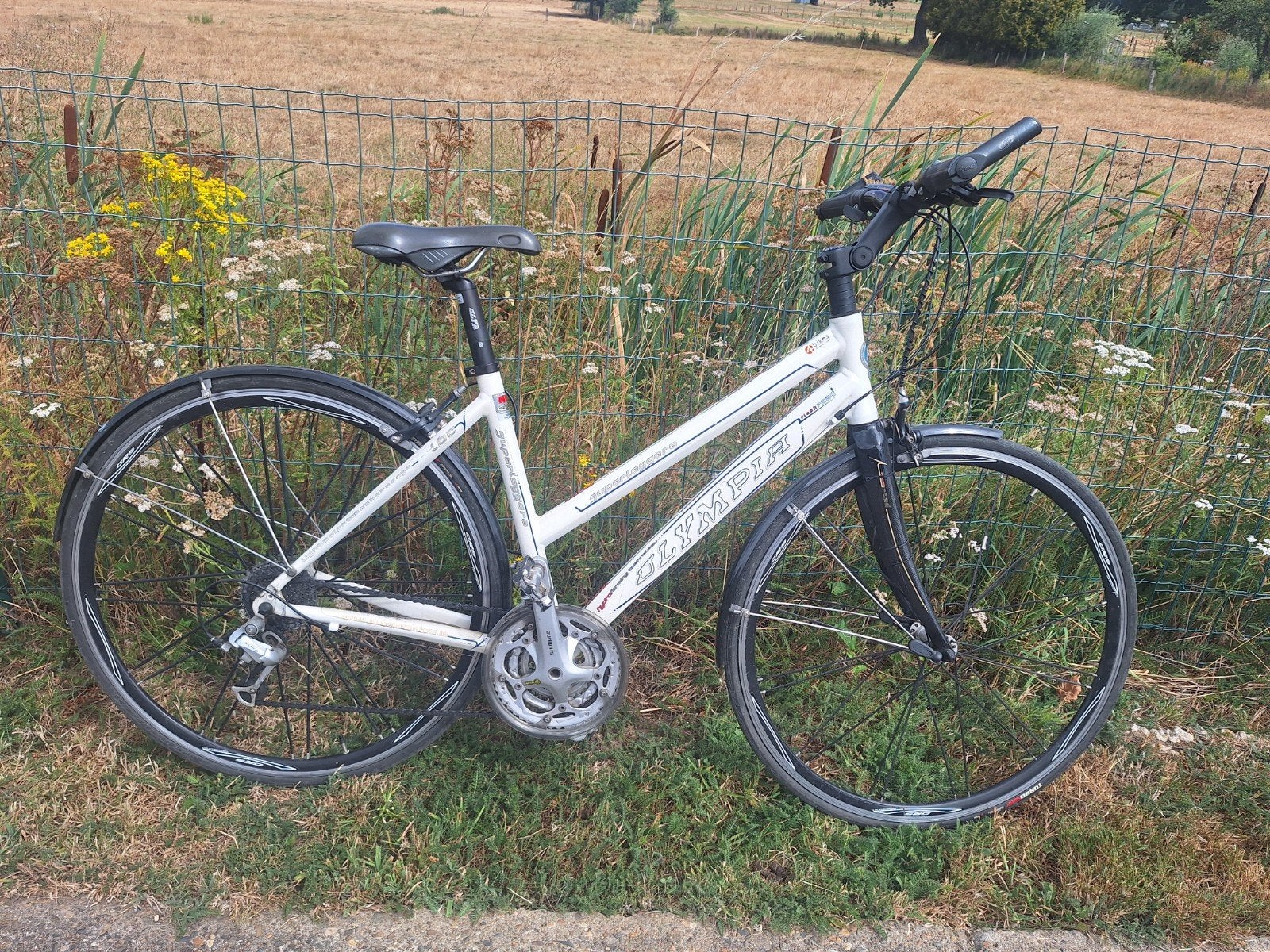 Damesfiets olympia Superleggera - maat 47, Fietsen en Brommers, Gebruikt, Velgrem, 47 tot 50 cm, Meer dan 20 versnellingen