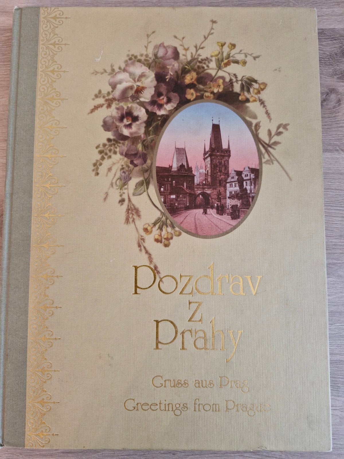 HC boek , Pozdray Z Prahy , oude postkaarten 1995, Enlèvement ou Envoi, Avant 1920, Europe autre