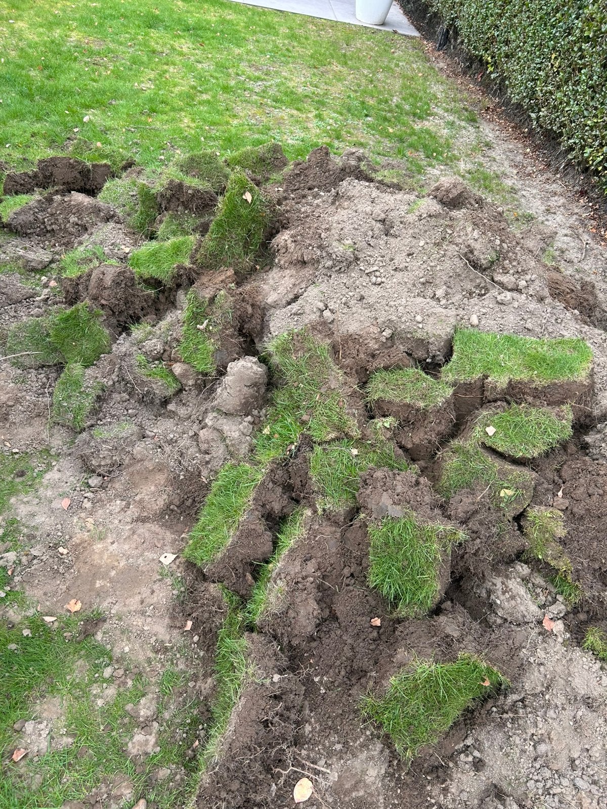 Gratis op te halen aardeen gras, Ophalen, Zo goed als nieuw, Gras