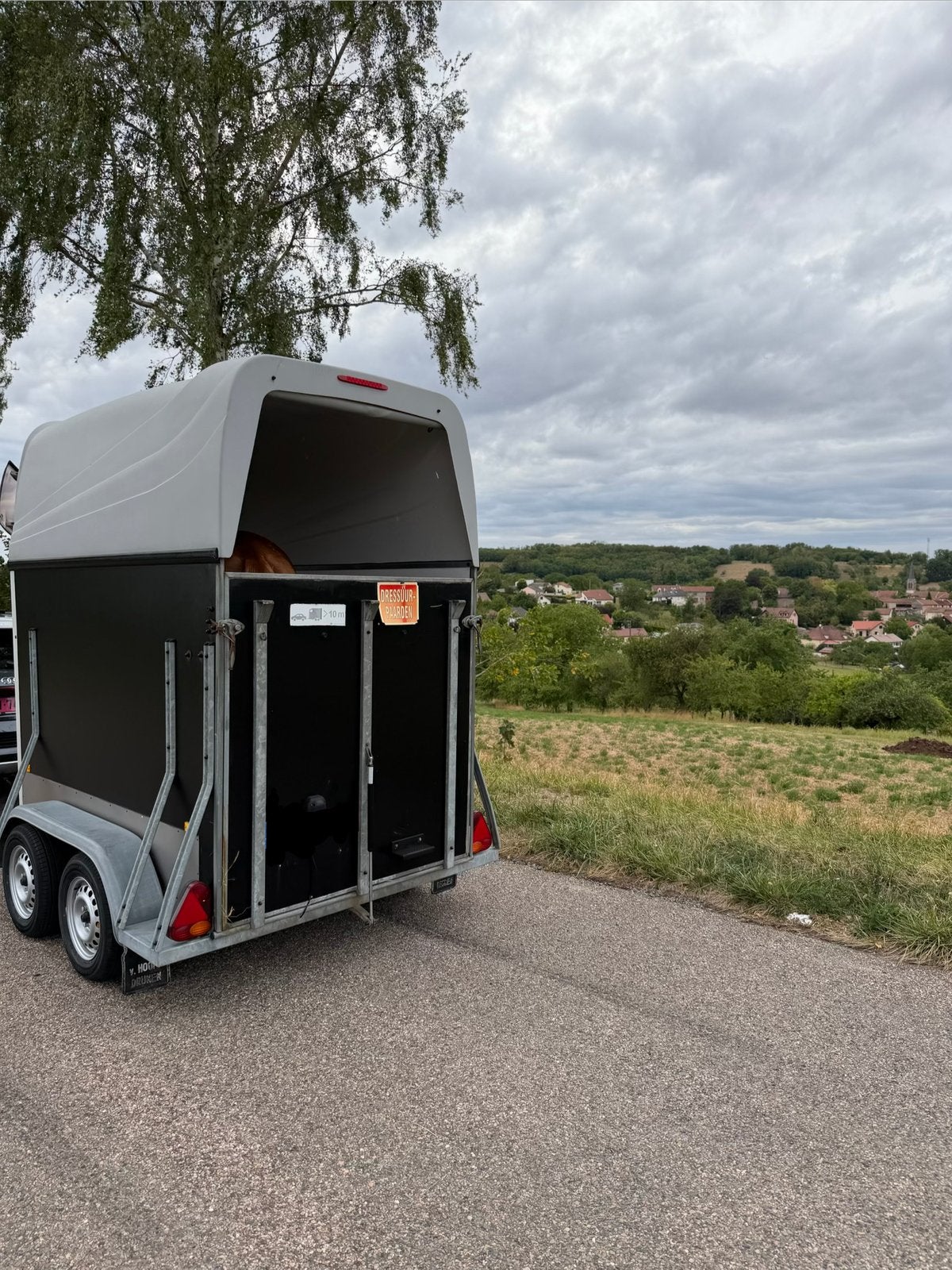 TE KOOP – HOTRARIJS ELEGANCE PAARDENTRAILER 1,5 PAARD, Enlèvement, Comme neuf