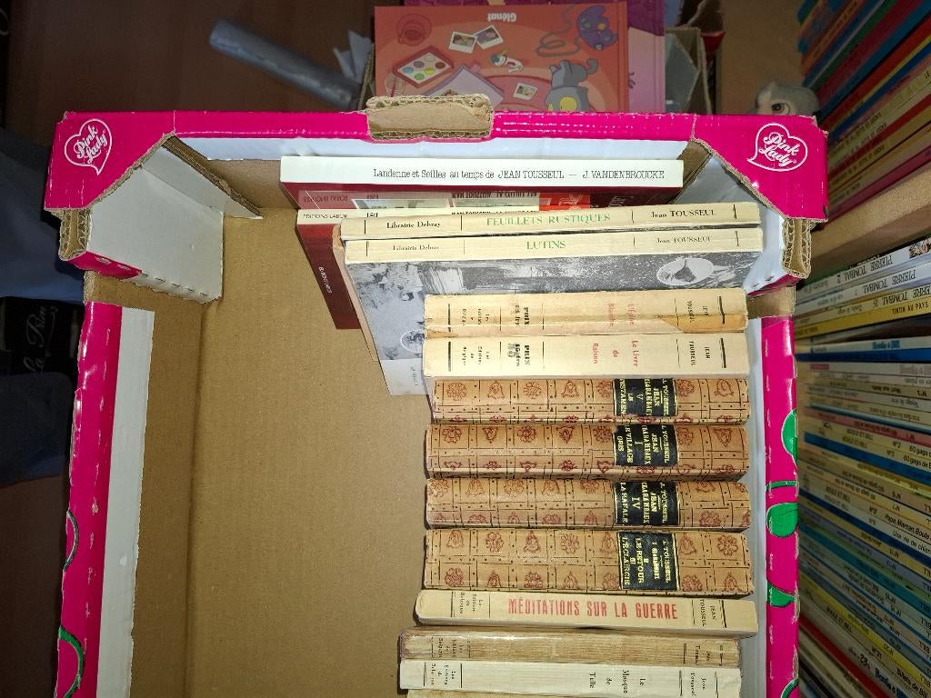 Livres jean tousseul, Livres, Enlèvement, Utilisé, Jean toussel