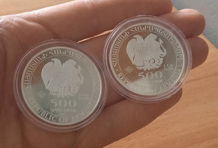 2 ons Ark van Noach 2025, Ophalen of Verzenden, Zilver
