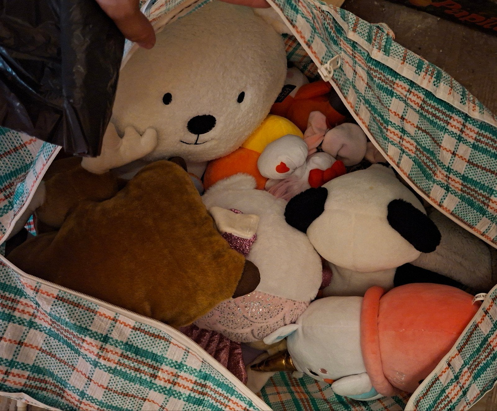 knuffels!, Enlèvement, Comme neuf