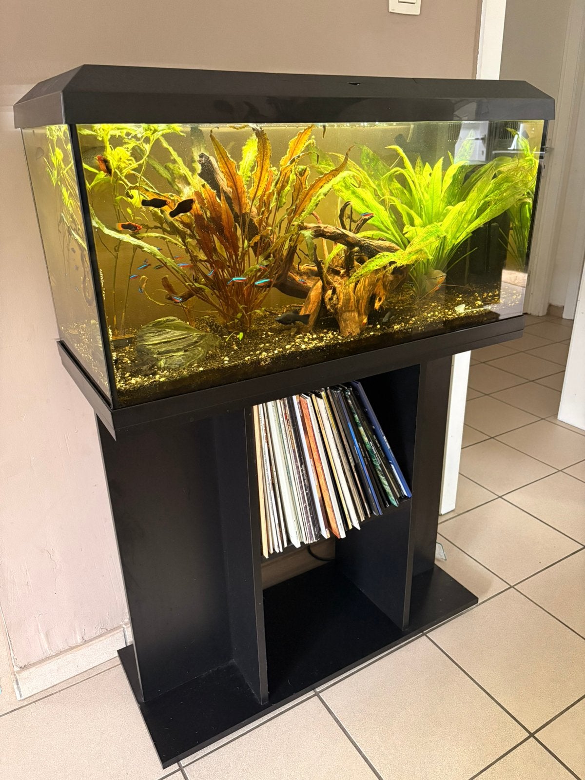 Aquarium Juwel Primo 110, Dieren en Toebehoren, Ophalen, Zo goed als nieuw, Filter, Juwel