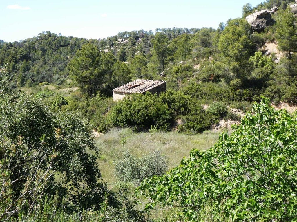 Maison de campagne à Arens de Lledó (Aragon, Espagne) - 1122, 44 m², Autres types, Espagne, Campagne