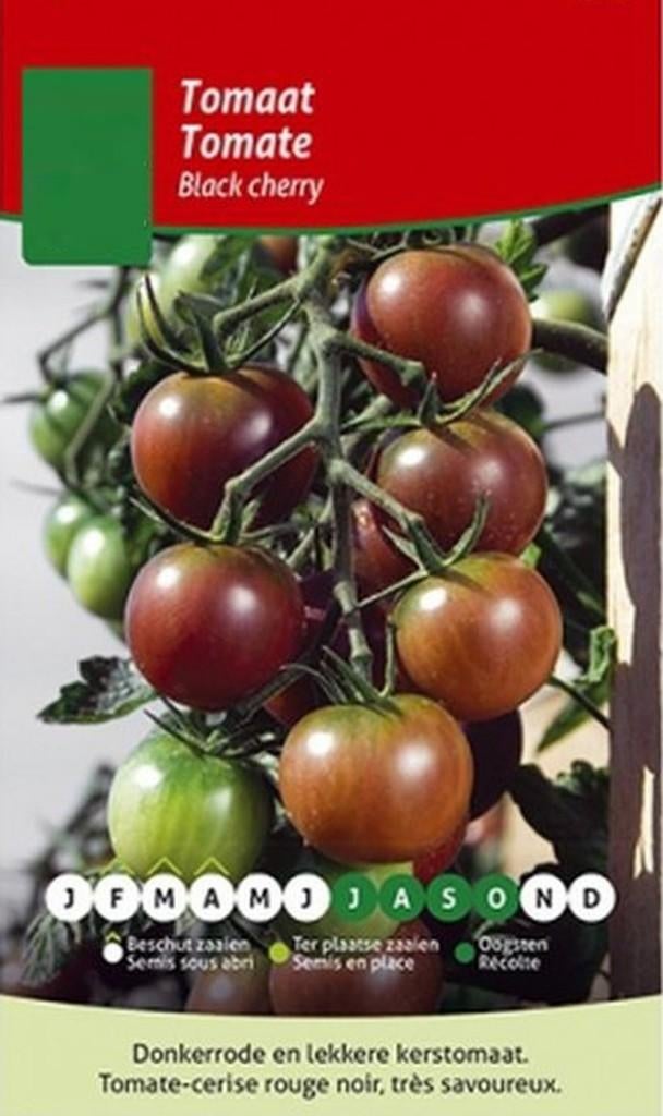 tomatenplanten Black Cherry kerstomaten, Ophalen
