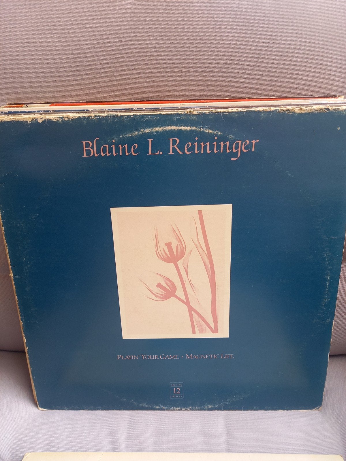 Blaine L. Reininger, CD & DVD, Vinyles | Rock, 12 pouces, Avec pochette intérieure, Enlèvement ou Envoi, Autres genres