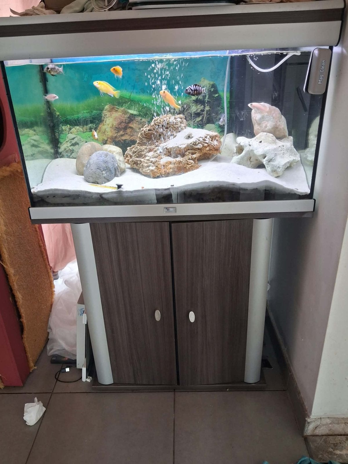 Mooie complete aquariumset te koop!, Ophalen, Pomp, Zo goed als nieuw, Aquariummeubel
