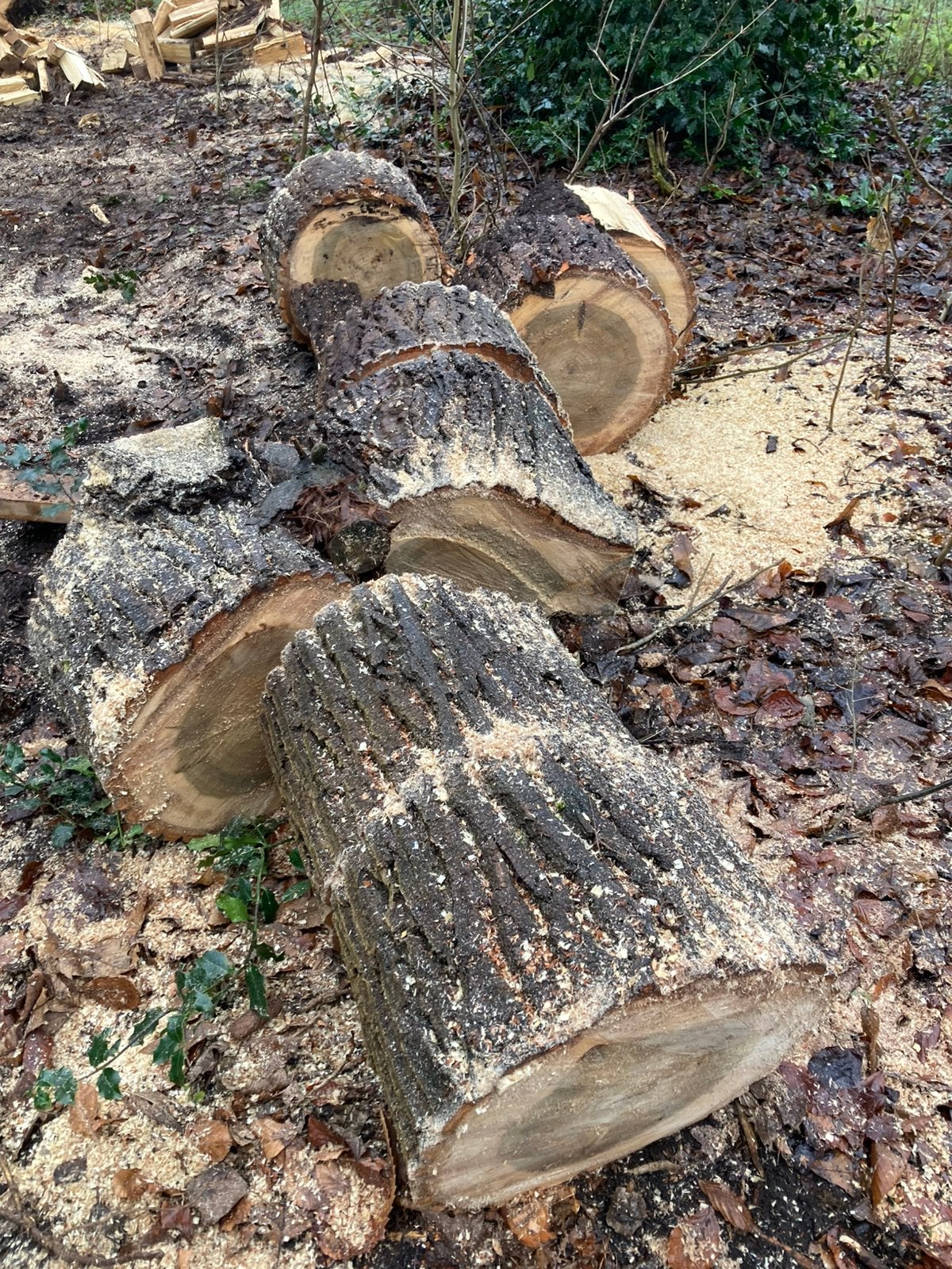 Hout op stam/stam hout, Ophalen, Blokken