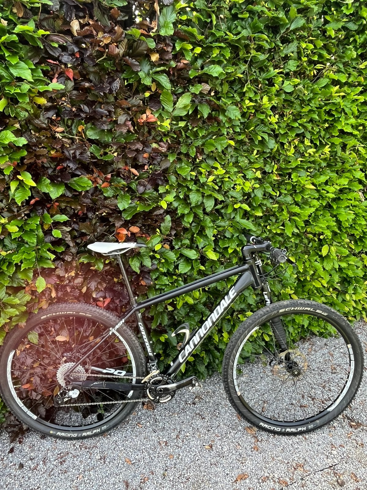 Cannondale Flash Alloy maat L, Ophalen, Gebruikt