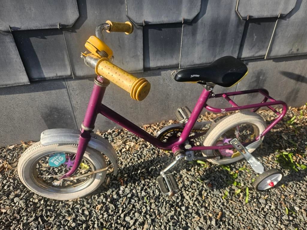 Leuk kinderfietsje, Enlèvement