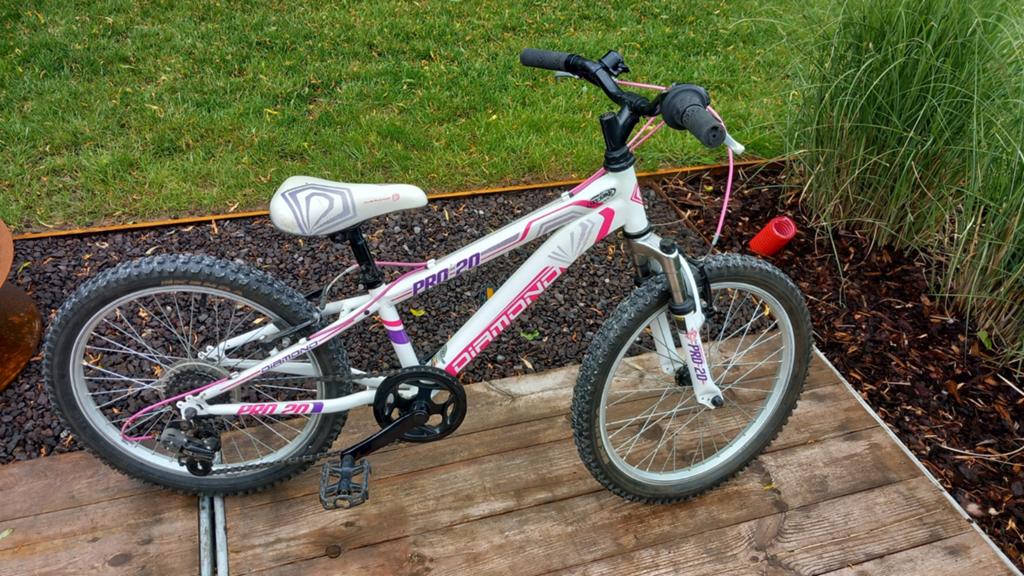Vtt enfant 20pouces, Enlèvement