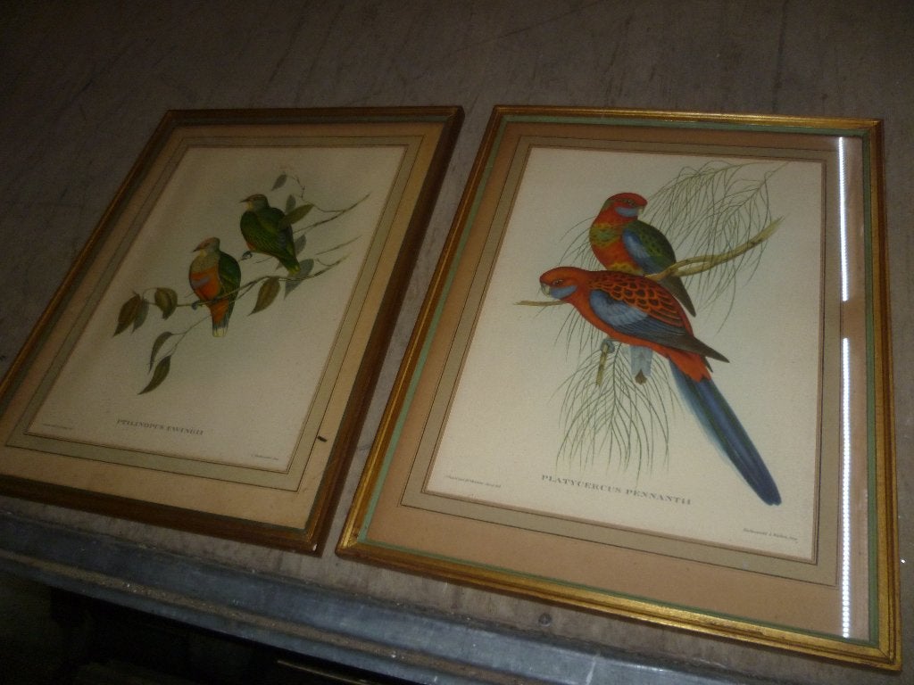 KOPPEL KADERS MET VOGELS, Antiek en Kunst, Ophalen