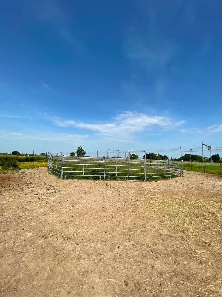 GERESERVEERD Roundpen / Longeercirkel 16M