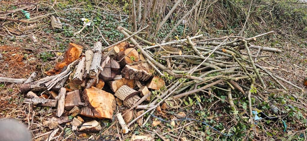 Lot de bois de chauffage en acacia 1m3, Enlèvement, Branches