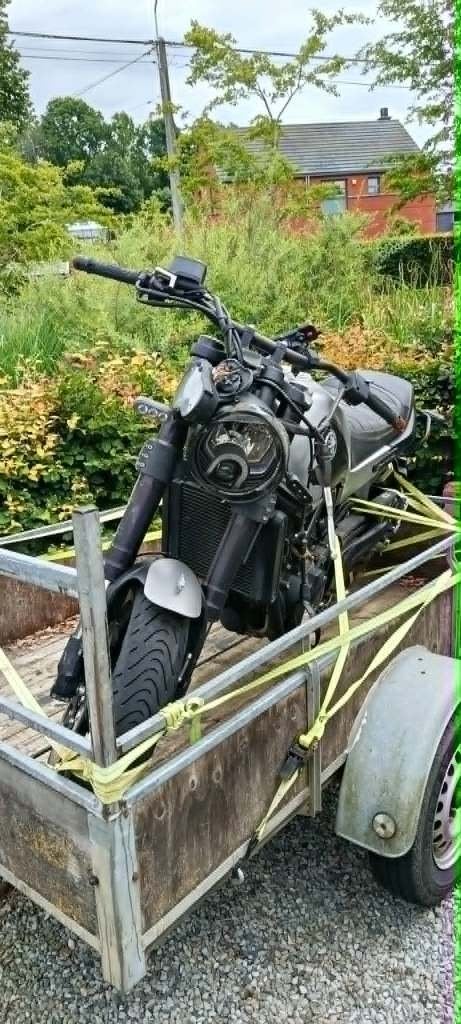 Benelli Leoncino 500 – 2019 – Accidentée – Non roulante, Motos, Occasion, 2 cylindres, Particulier, Permis Moto A2 minimum