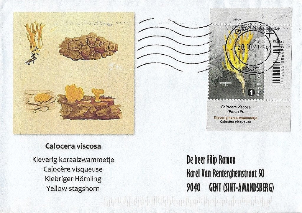 2020 - BELGIË - Bijzondere paddenstoelen [Y&T 4953], Met envelop, Verzenden, Frankeerzegel, Gestempeld