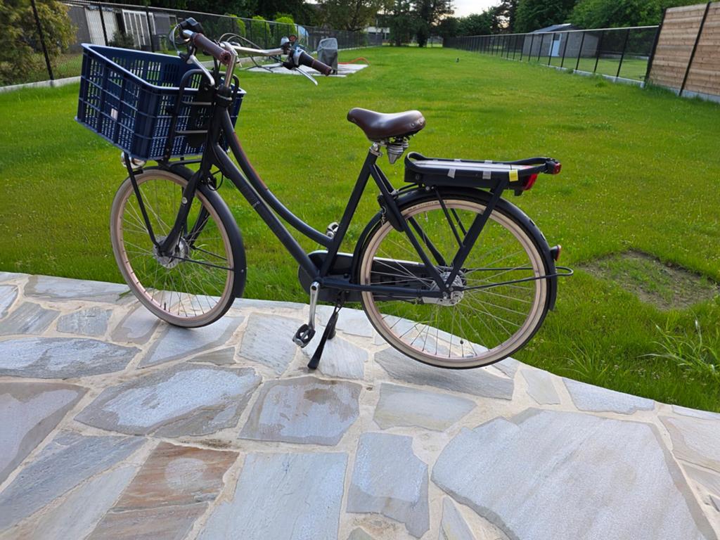 Elektrische damesfiets Cortina, Ophalen, Cortina